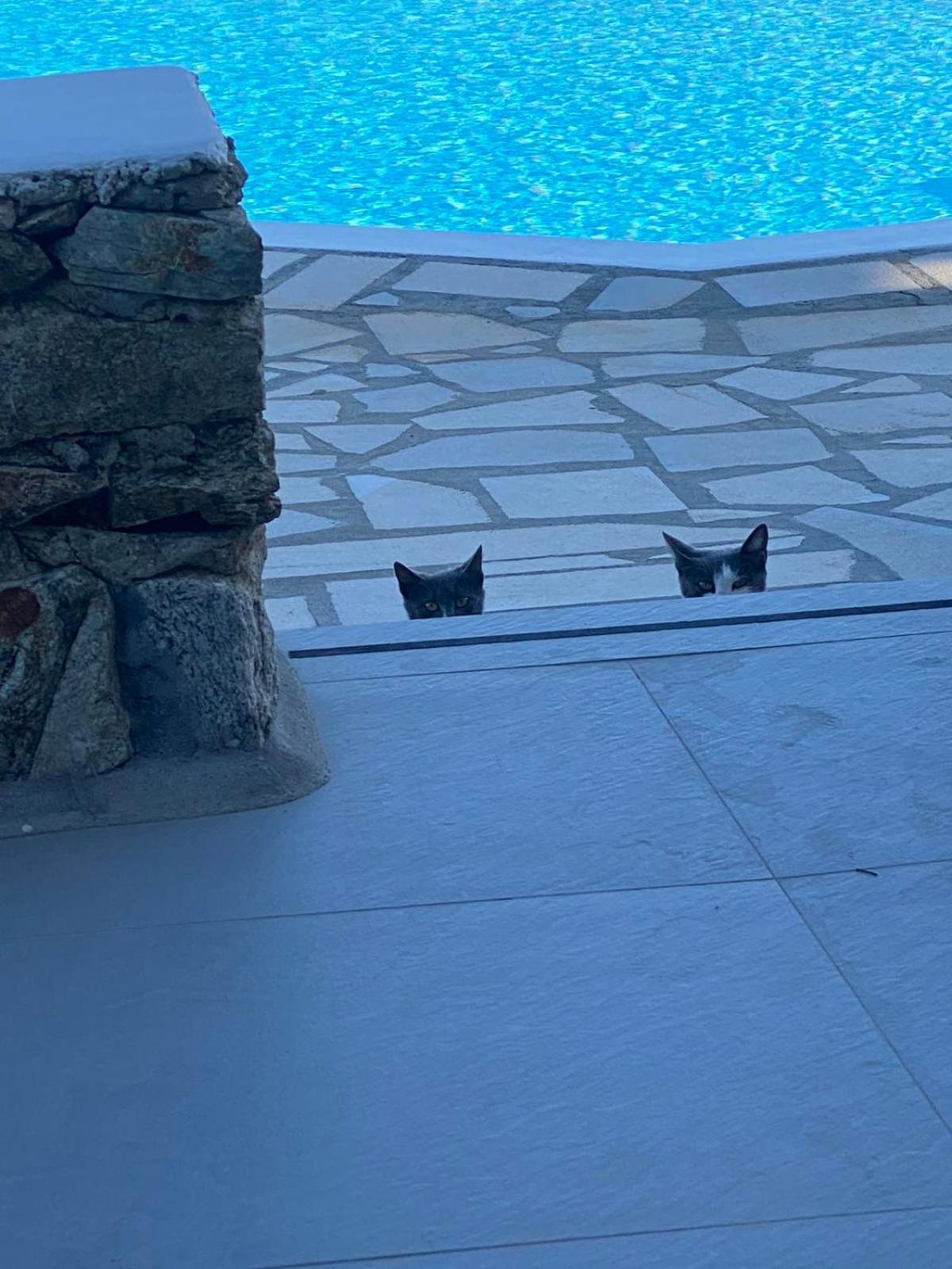 Cavo Blue Villas Elia  Bagian luar foto